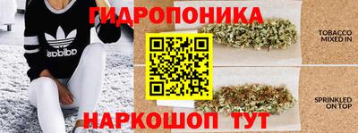 кокс Дубна