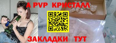 стаф Донской
