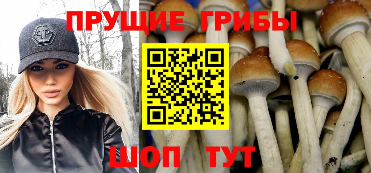 Нарткала  Галлюциногенные грибы ЛСД  закладка  Вход с VPN 